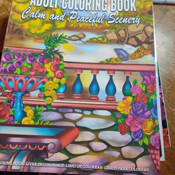 mislcanious adult coloring books - Picture 2 of 12